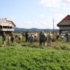 lan015.jpg