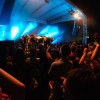 festival_026.jpg