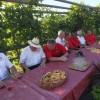 img_9445_000.jpg