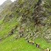img_22_000.jpg