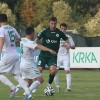 krka_zavrc_06.jpg