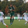 krka_zavrc_15.jpg