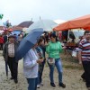 sejem0033.jpg
