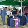 sejem0010.jpg