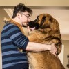 cute-dogs-hugging-humans-81.jpg