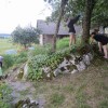 poletje_009.jpg