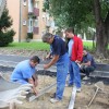 img_6131__medium_.jpg