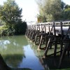 krka_kostanjevica__6_.jpg