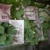m_cvickorel046.jpg