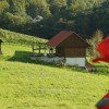 m_cvickorel018.jpg
