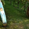 m_cvickorel034.jpg