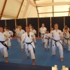 z_karate_l010.jpg