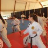 z_karate_l007.jpg