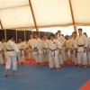 z_karate_l005.jpg