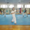 z_karate_l045.jpg