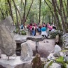 t_pohod_015.jpg