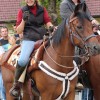 straska_jesen71.jpg