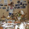 veliki_orehek_034.jpg