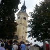 trska_028.jpg