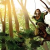 Robin Hood 1.jpg