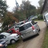 trska_026.jpg