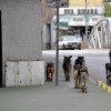 Potepuški psi, Sarajevo.jpg