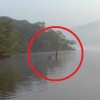 Nessie 1.jpg