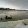 Jezero Lagarfljót.jpg