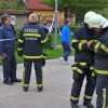 vaja_krmelj059.jpg