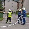 vaja_krmelj051.jpg