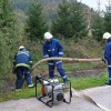 vaja_krmelj041.jpg