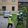 vaja_krmelj030.jpg