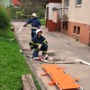 vaja_krmelj022.jpg
