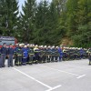 vaja_krmelj085.jpg