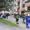vaja_krmelj007.jpg