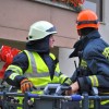 vaja_krmelj081.jpg