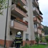 vaja_krmelj033.jpg