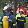 vaja_krmelj029.jpg