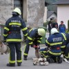 vaja_krmelj015.jpg
