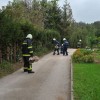 vaja_krmelj039.jpg