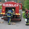 vaja_krmelj010.jpg