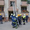 vaja_krmelj021.jpg