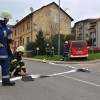 vaja_krmelj047.jpg