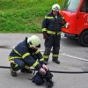 vaja_krmelj054.jpg