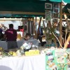 praznik_kozjanskega_jabolka_2014__81_.jpg