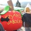 praznik_kozjanskega_jabolka_2014__27_.jpg