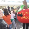 praznik_kozjanskega_jabolka_2014__28_.jpg
