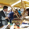 praznik_kozjanskega_jabolka_2014__58_.jpg