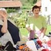 praznik_kozjanskega_jabolka_2014__73_.jpg