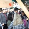 praznik_kozjanskega_jabolka_2014__46_.jpg